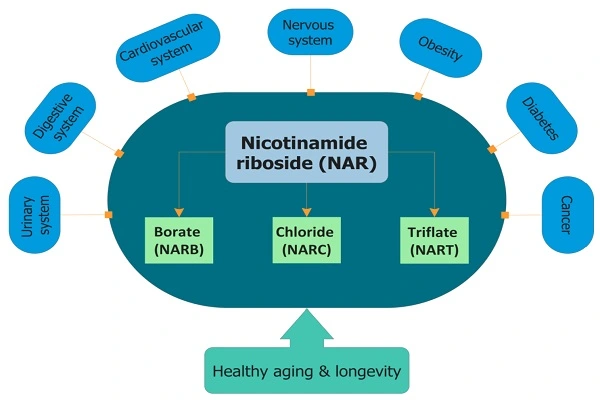 Nicotinamide Riboside Chloride Powder 