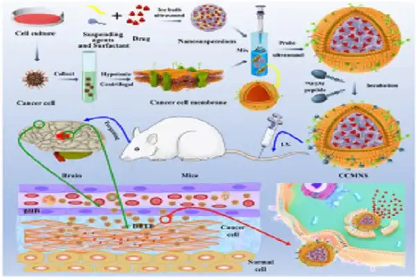 Omeprazole Powder Efficacy Chart Omeprazole Powder Efficacy Chart