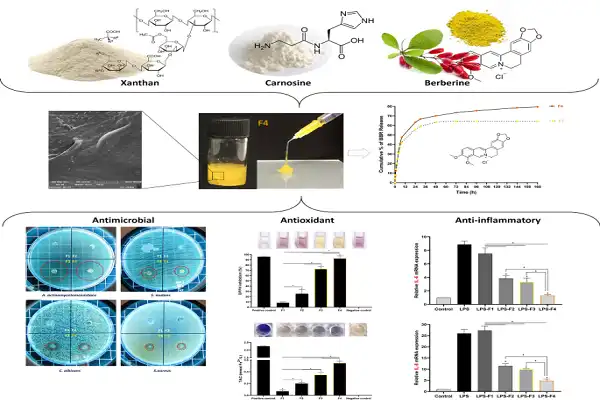 L Carnosine Powder Efficacy Chart L Carnosine Powder Efficacy Chart