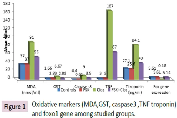 Forskolin Powder Forskolin Powder