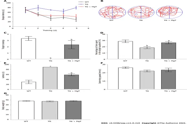 Magnesium L Threonate Powder Effect Chart Magnesium L Threonate Powder Effect Chart
