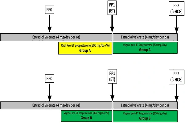 Progesterone Raw Powder Efficacy Chart