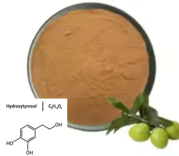 Hydroxytyrosol is derived from olive extract Hydroxytyrosol is derived from olive extract