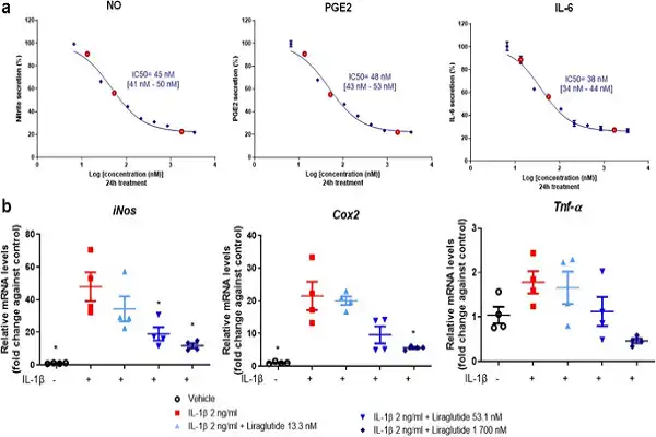 Liraglutide Peptide Powder Liraglutide Peptide Powder