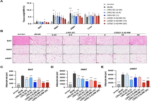 Liraglutide Peptide Powder Efficacy Chart Liraglutide Peptide Powder Efficacy Chart