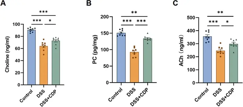 Choline CDP Powder regulates cholinergic signals and intestinal microflora.