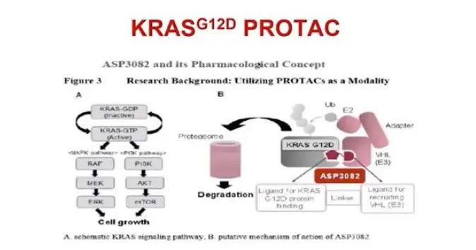  Prostamax peptide powder is a natural formula that combines cutting-edge biopeptide technology and is revolutionizing health management in a revolutionary way. Prostamax peptide powder is a natural formula that combines cutting-edge biopeptide technology and is revolutionizing health management in a revolutionary way. 