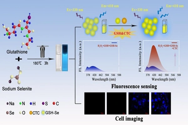 Glutathione Powder Efficacy Glutathione Powder Efficacy