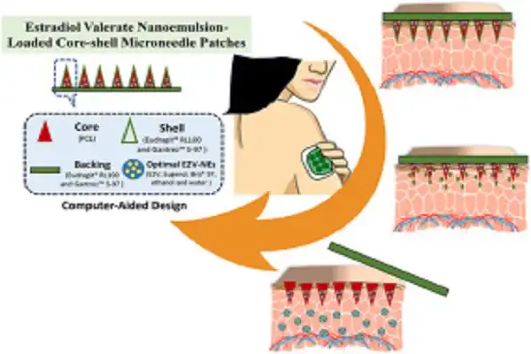 Estradiol Valerate Powder Efficacy Chart Estradiol Valerate Powder Efficacy Chart