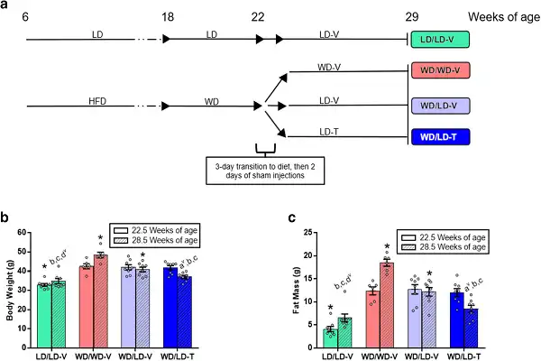 5-Amino-1Mq Powder 5-Amino-1Mq Powder