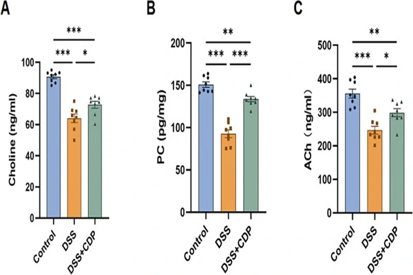 Choline CDP Powder regulates cholinergic signals and intestinal microflora. Choline CDP Powder regulates cholinergic signals and intestinal microflora.