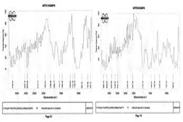 Clomiphene Citrate Powder Clomiphene Citrate Powder