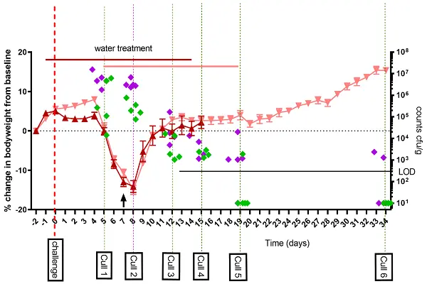 Doxycycline Hyclate Powder Efficacy Chart