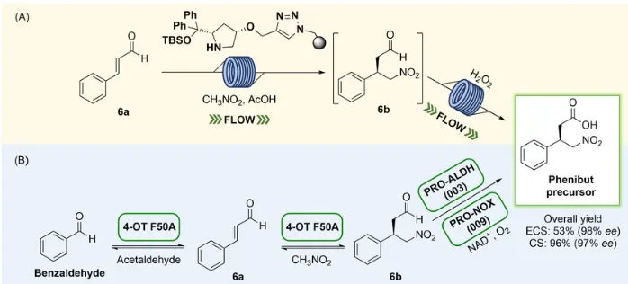 synthesis of Phenibut
