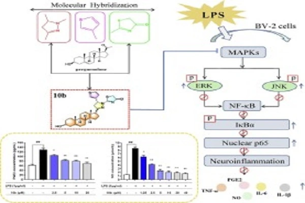 Pregnenolone Raw Powder Pregnenolone Raw Powder