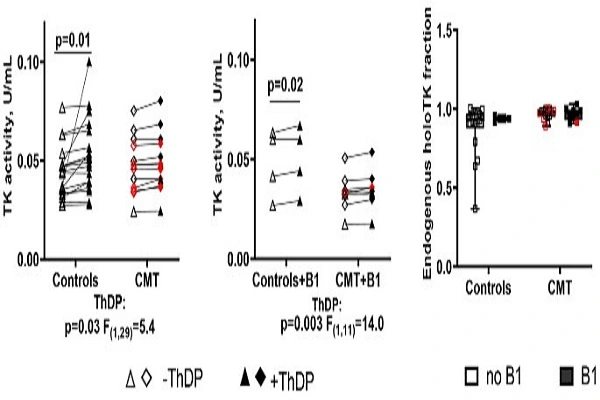 Sulbutiamine Powder Sulbutiamine Powder
