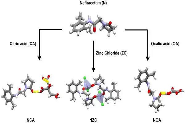 Nefiracetam Powder Nefiracetam Powder
