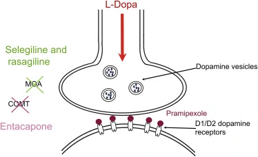 Entacapone API powder Entacapone API powder