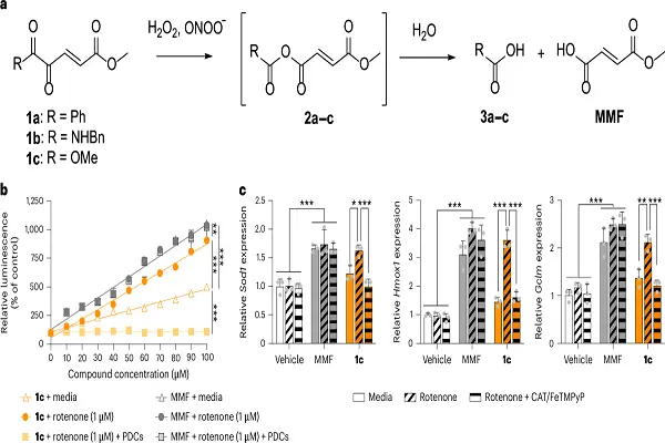 Alpha Gpc 50 Powder Alpha Gpc 50 Powder