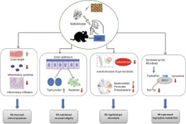 Nattokinase Powder efficacy chart Nattokinase Powder efficacy chart