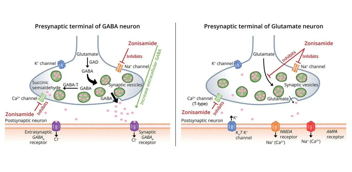 Zonisamide API Powder Zonisamide API Powder