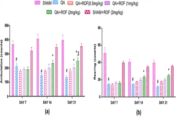 Nefiracetam Powder efficacy chart