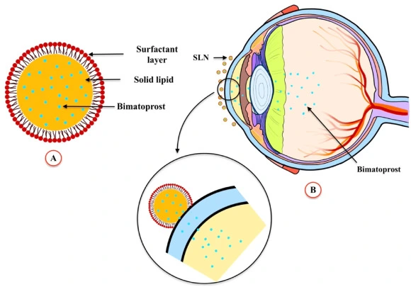 Bimatoprost API powder