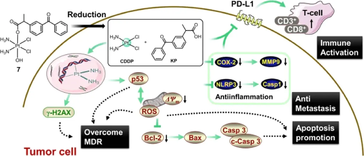 Ketoprofen and Loxoprofen Platinum(IV) Complexes Displaying Antimetastatic Activities Ketoprofen and Loxoprofen Platinum(IV) Complexes Displaying Antimetastatic Activities