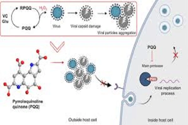 Pqq Powder 11 Pqq Powder 11