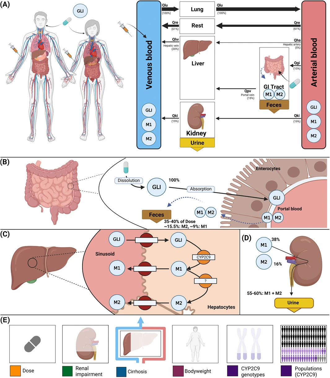 Research on Glimepiride API
