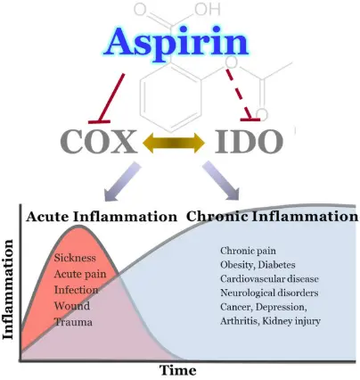 mechanism of action of Aspirin mechanism of action of Aspirin