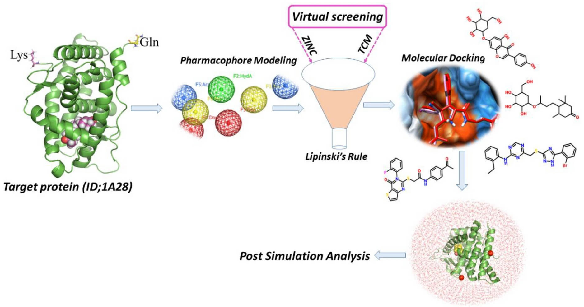Research on Progesterone Micronized Powder