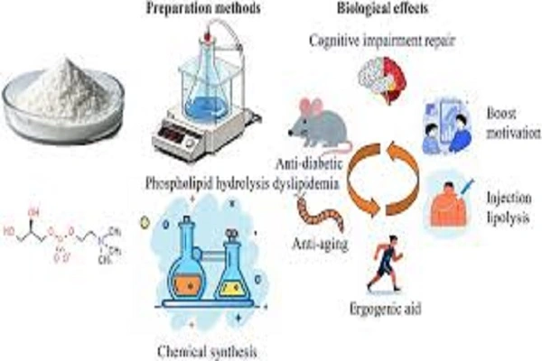Alpha Gpc 50 Powder 11 Alpha Gpc 50 Powder 11