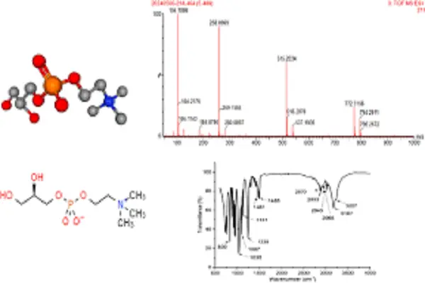Alpha Gpc 50 Powder1