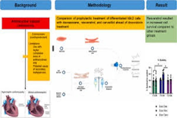 Resveratrol Powder efficacy chart