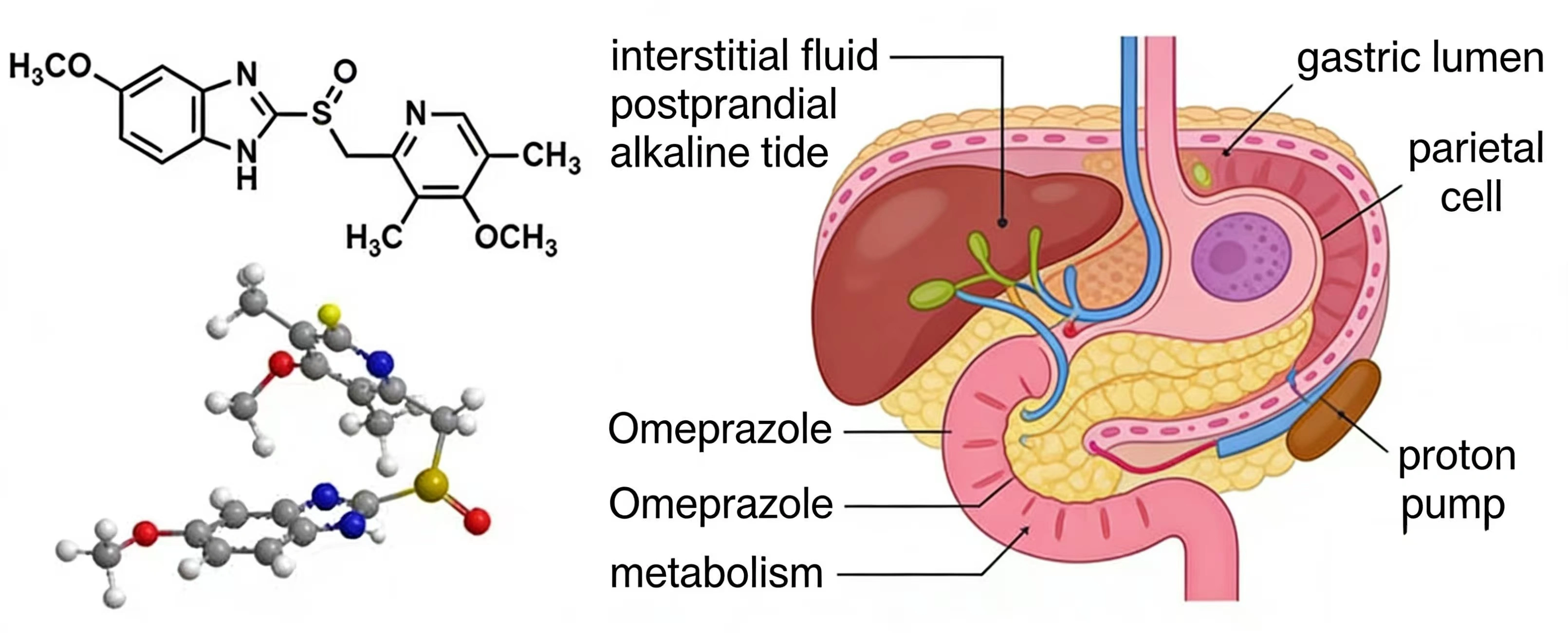 Advantages of omeprazole powder Advantages of omeprazole powder
