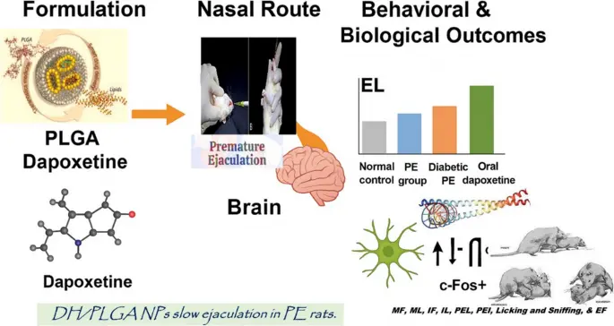 Dapoxetine HCL raw powder Dapoxetine HCL raw powder