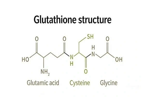 MF of Glutathione powder