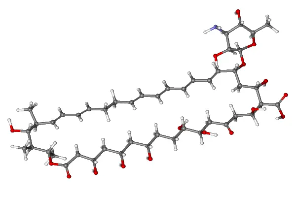 Nystatin powder Nystatin powder