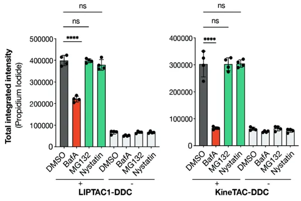 Advantages of Nystatin powder Advantages of Nystatin powder