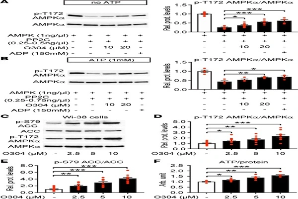 O-304 powder working principle O-304 powder working principle