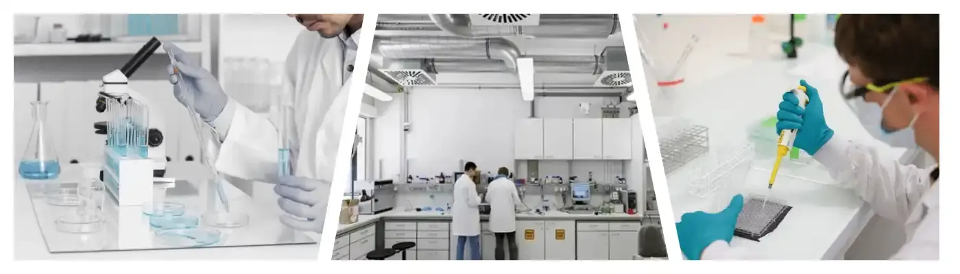 Raw Material API Spermidine Raw Material API Spermidine