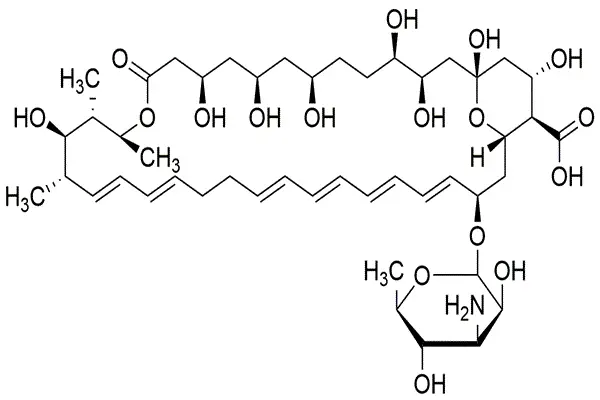 MF of Nystatin powder MF of Nystatin powder