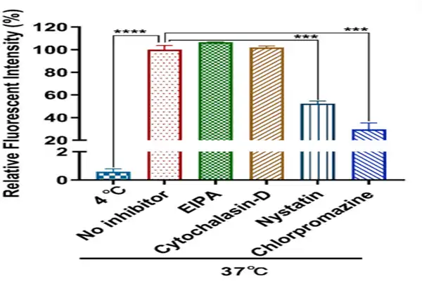 Nystatin powder Nystatin powder