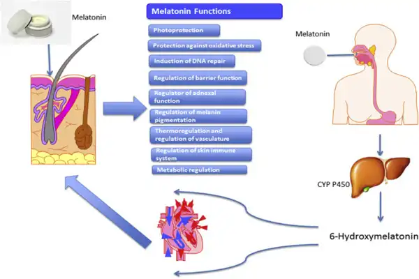 Melatonin raw powder Melatonin raw powder