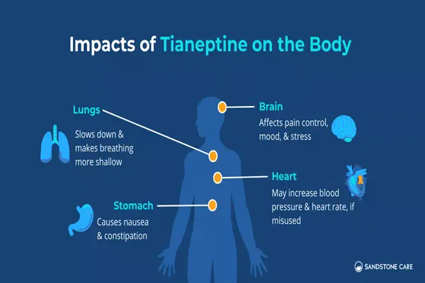 Functions of Tianeptine sulfate powder