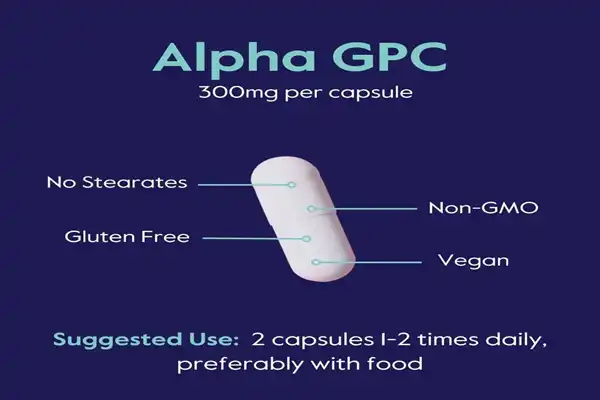 Alpha GPC 50 powder