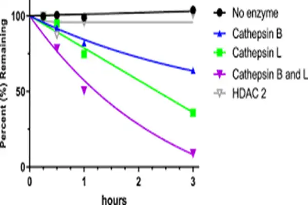 6-Diazo-5-Oxo-L-Norleucine