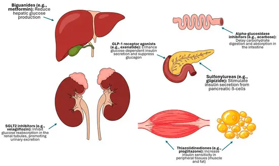 Research on Nateglinide API Research on Nateglinide API