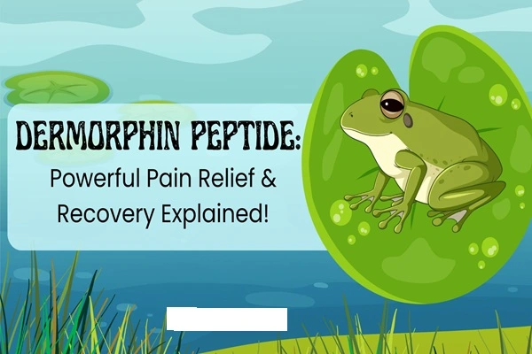 Dermorphin Peptide Powder Dermorphin Peptide Powder